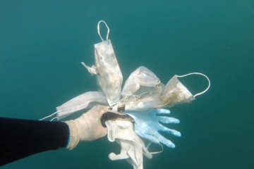 Des masques et des gants retrouvés dans 7 des plus grands fleuves européens
